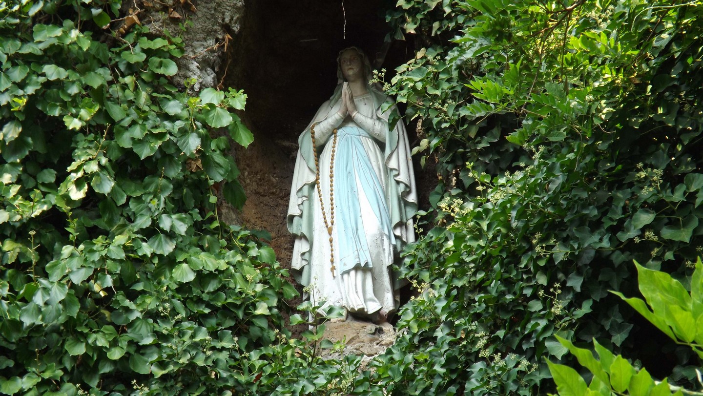 Image22